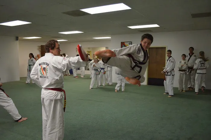 Colorado Taekwondo Institute Picture 5