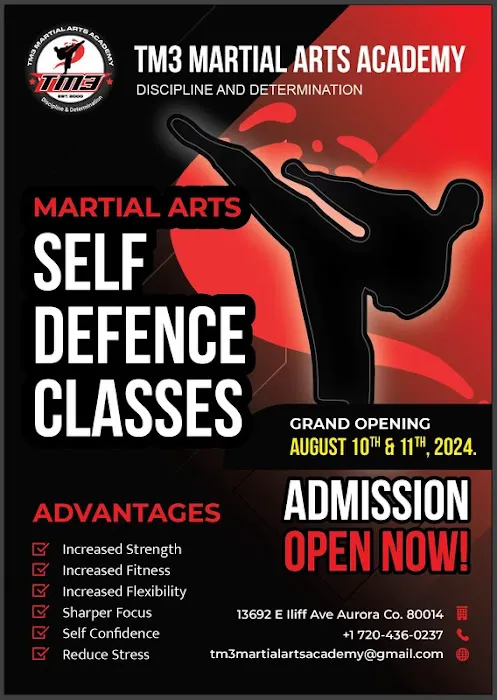 TM3 Martial Arts Academy Picture 1