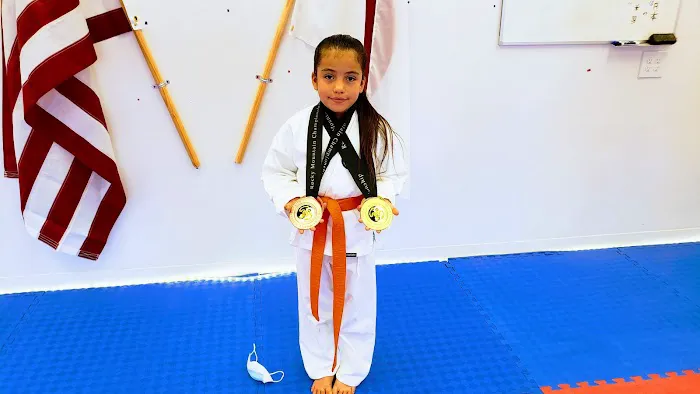 Shotokan Karate Dojo Picture 10