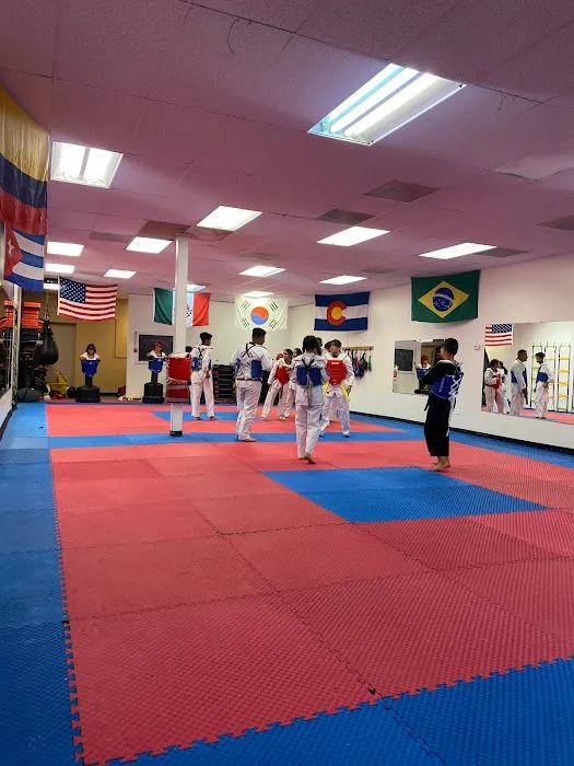 Gonzalez Taekwondo Picture 2