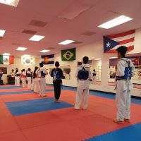 Gonzalez Taekwondo ico