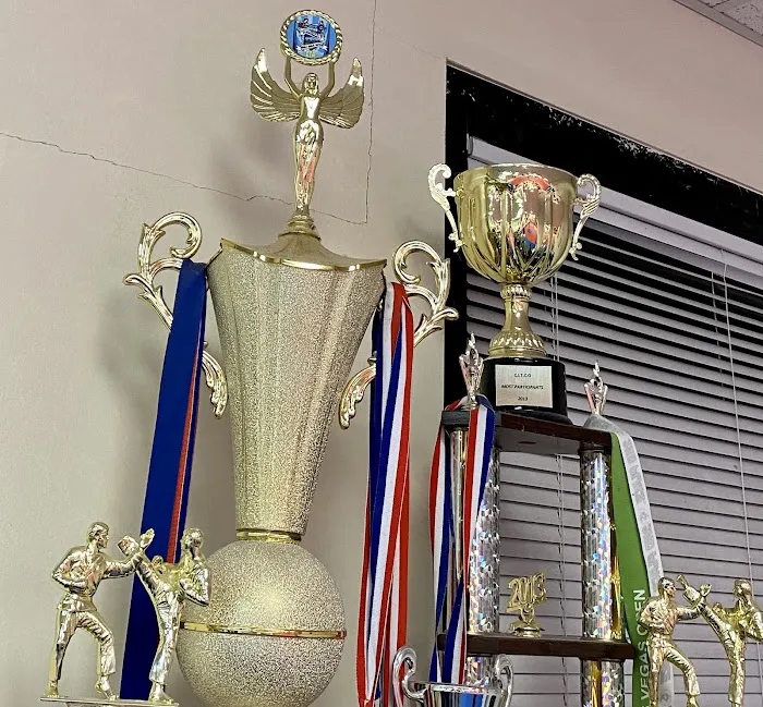 Gonzalez Taekwondo Picture 7