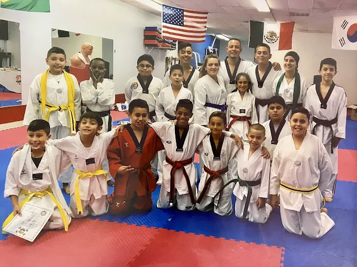Gonzalez Taekwondo Picture 4