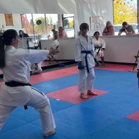 Colorado Budokan ico