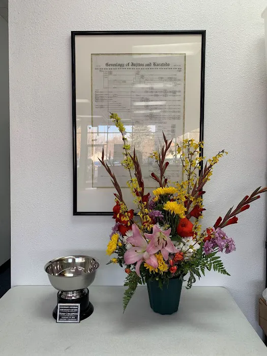 Colorado Budokan Picture 8