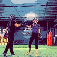 Mastering Martial Arts ico