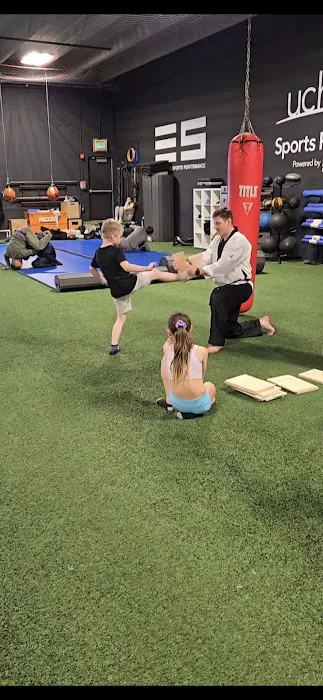 Mastering Martial Arts Picture 2