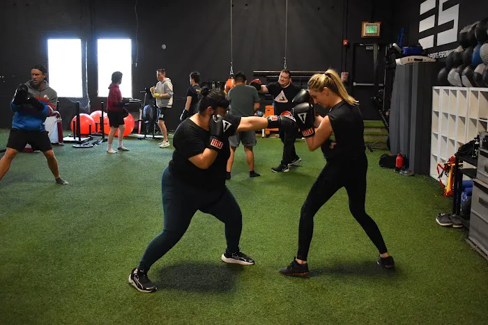 Mastering Martial Arts Picture 8