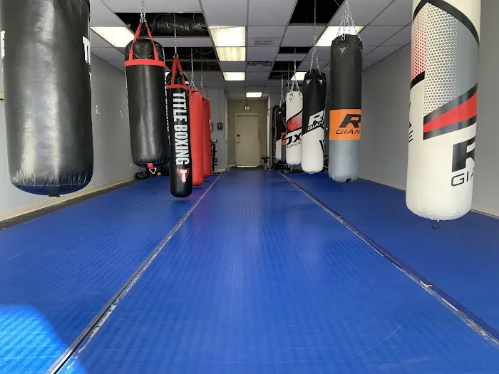 Mastering Martial Arts Picture 9