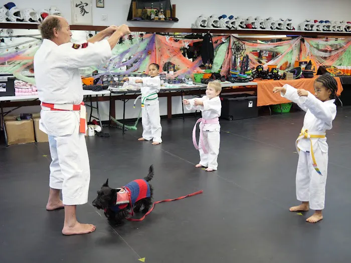 Resilient Martial Arts Picture 4