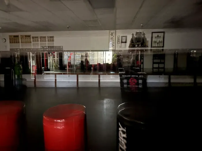 Resilient Martial Arts Picture 2