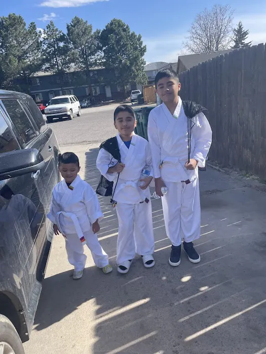 Resilient Martial Arts Picture 7