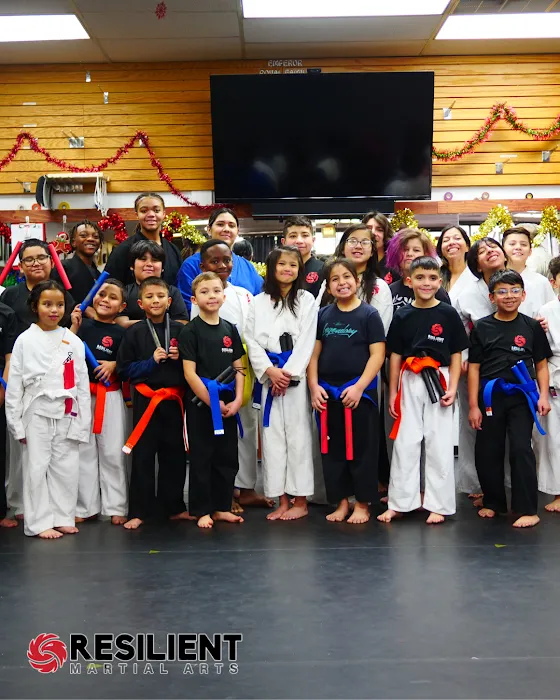 Resilient Martial Arts Picture 9