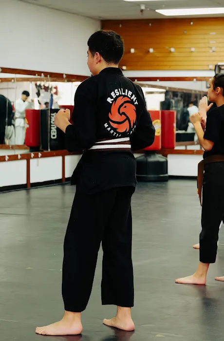 Resilient Martial Arts Picture 8