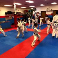 Master Yosvany Taekwondo Academy ico