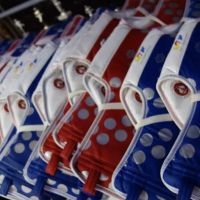 Tiger Kim's Academy of Taekwondo and Tang Soo Do ico