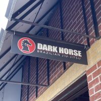 Dark Horse Combat Club ico