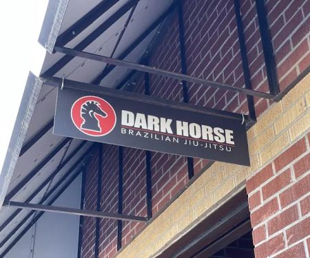 Dark Horse Combat Club