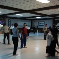 Aikido Nippon Kan ico