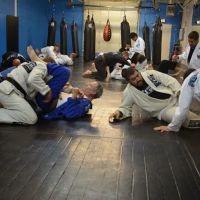 Peak Kickboxing / Jiu Jitsu ico