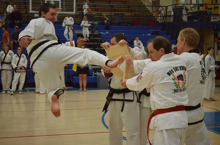 Colorado Taekwondo Institute Picture 9