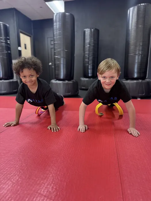 Atlas Martial Arts Picture 7