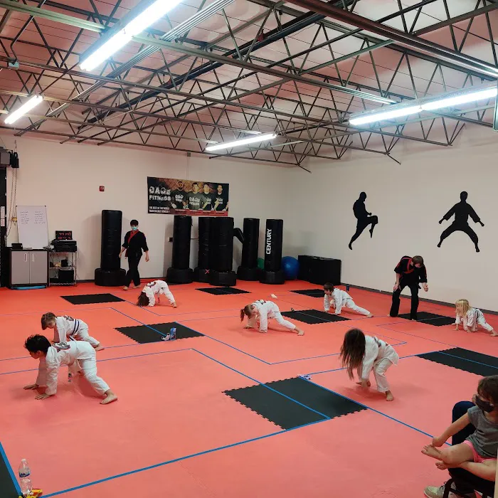 Personal Achievement Martial Arts Picture 2