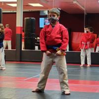 Personal Achievement Martial Arts ico