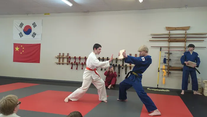Lane Academy of Martial Arts Picture 8