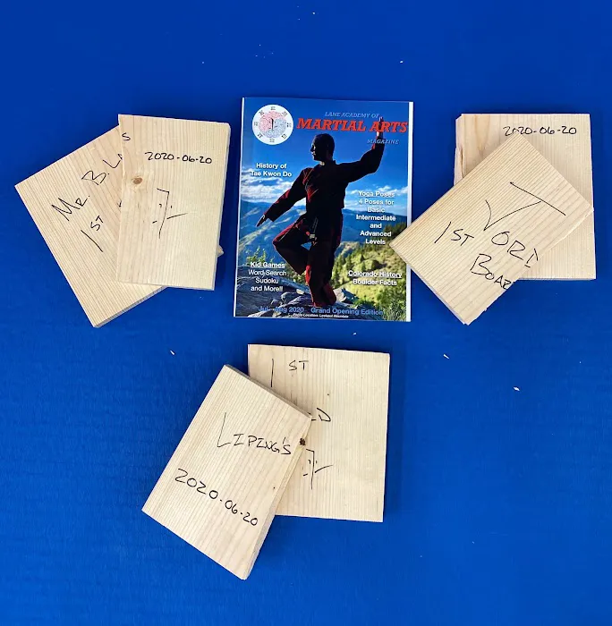 Lane Academy of Martial Arts Picture 10