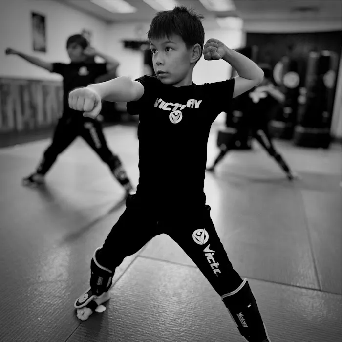 Atlas Martial Arts Picture 3