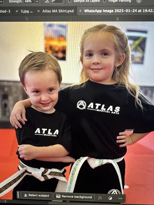 Atlas Martial Arts Picture 8