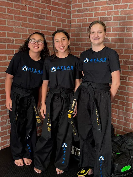 Atlas Martial Arts Picture 10