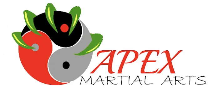 Apex martial arts Picture 3