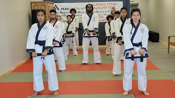 Peak Martial Arts Picture 8