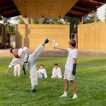 White Tiger Family TaeKwonDo Martial Arts