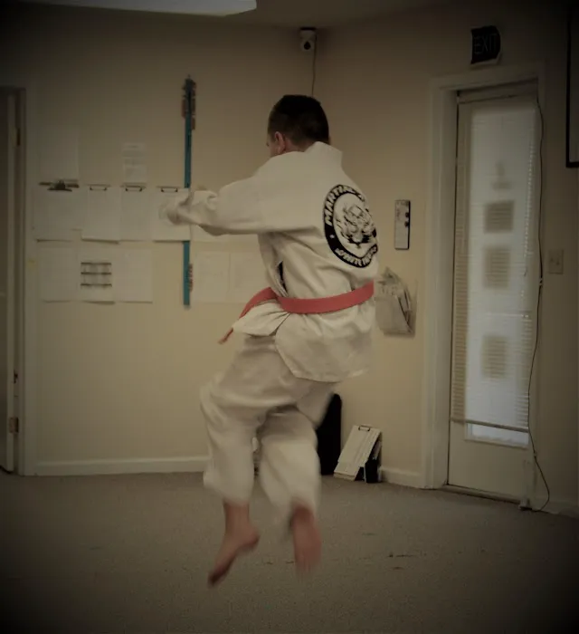 White Tiger Family TaeKwonDo Martial Arts Picture 2