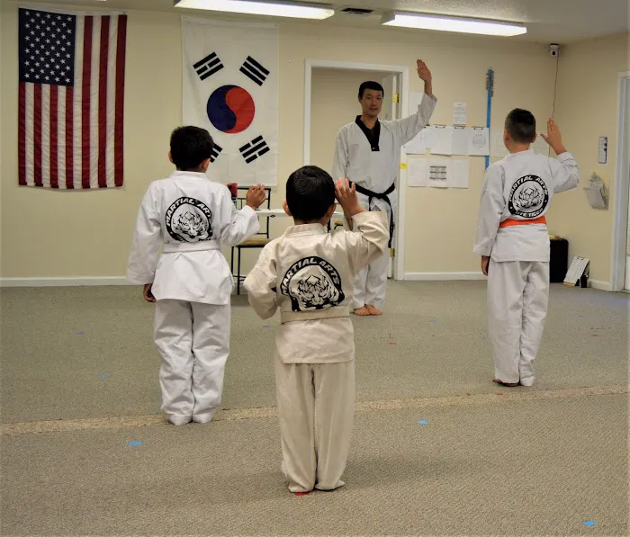 White Tiger Family TaeKwonDo Martial Arts Picture 5