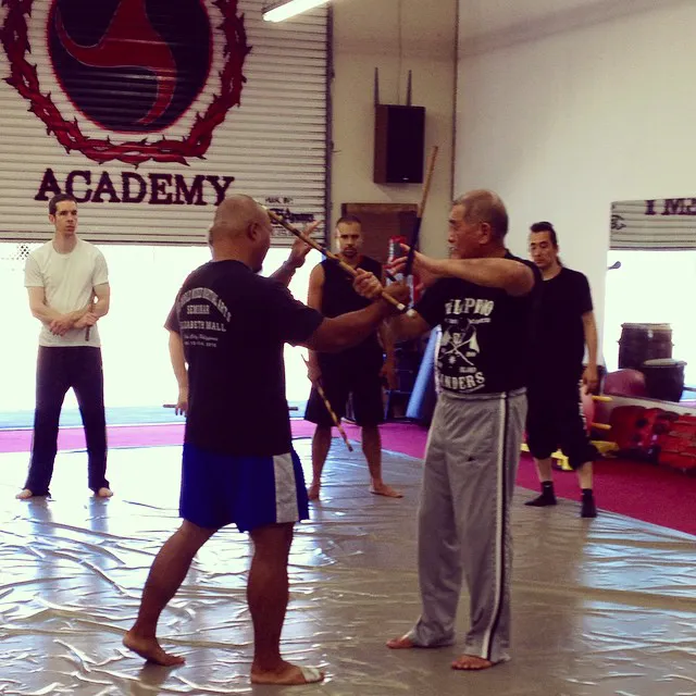 IRON DRAGON Martial Arts Academy & Combat Fitness Picture 5