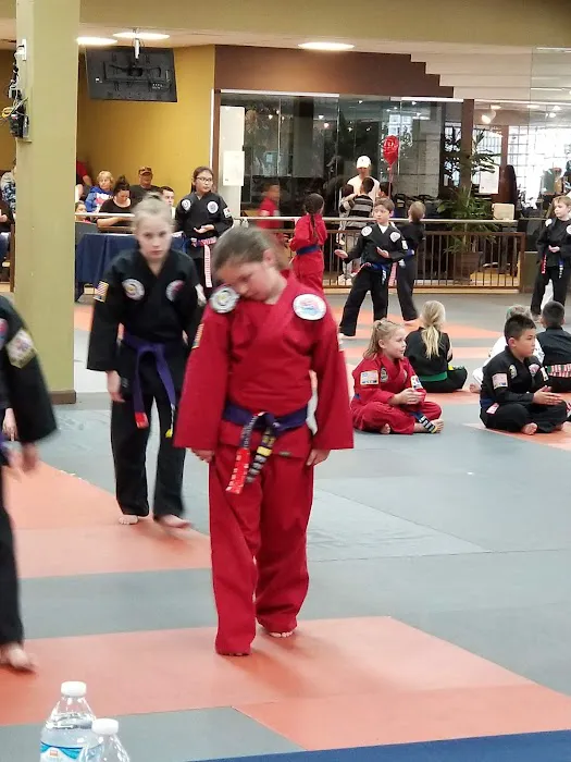 Seo's Martial Arts Academy Picture 5