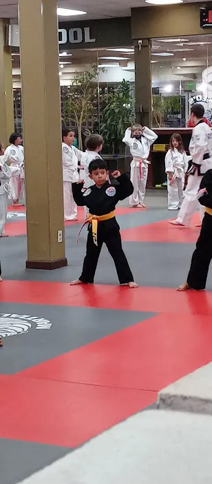 Seo's Martial Arts Academy Picture 7