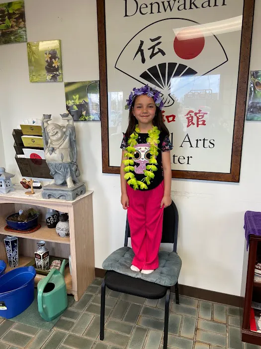 Denwakan Karate Center LLC Picture 4