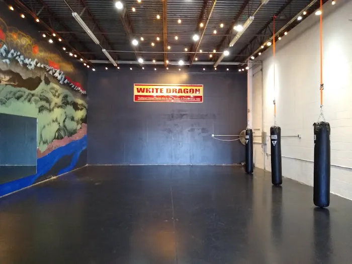 Pai Lum White Dragon Martial Arts Picture 1