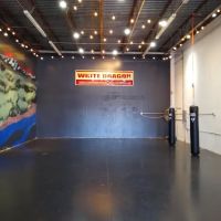 Pai Lum White Dragon Martial Arts ico