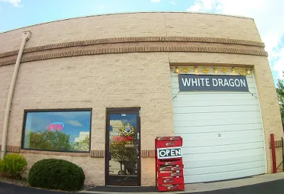 Pai Lum White Dragon Martial Arts Picture 2