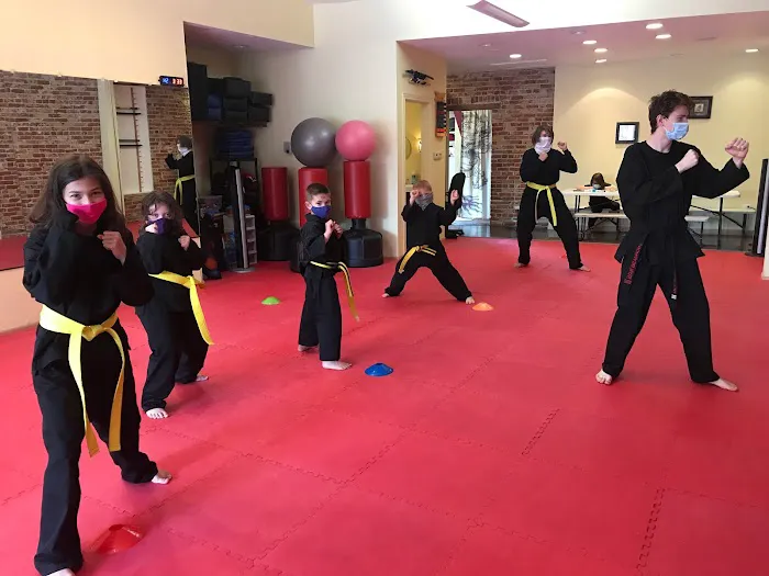 Red Dragon Martial Arts Picture 5