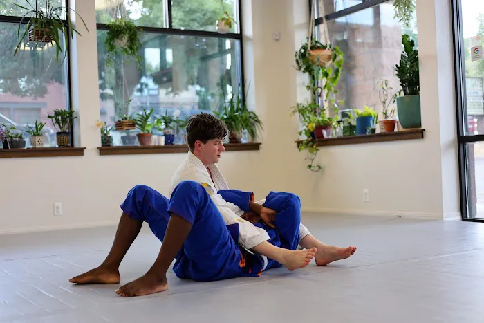 Golden Jiu Jitsu Picture 2