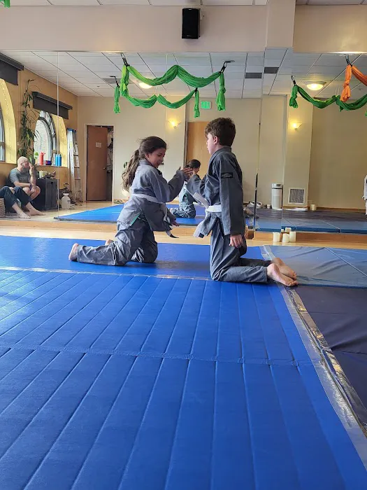 Golden Jiu Jitsu Picture 5