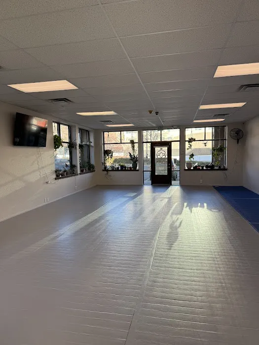 Golden Jiu Jitsu Picture 9