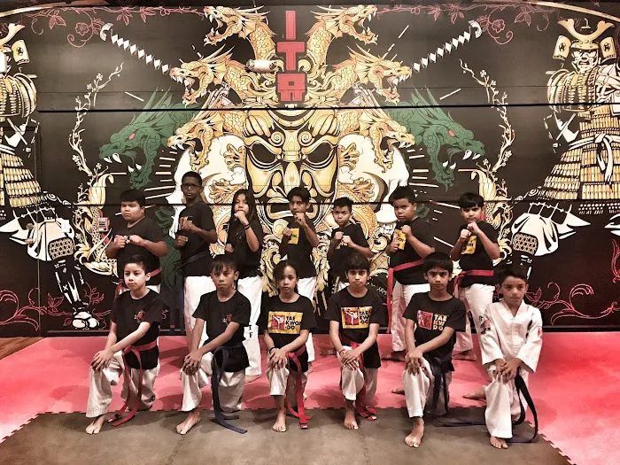 International Taekwon-Do Academy Picture 4